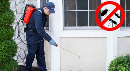 Alaplı Kemirgen İlaçlama böcek ilaçlama ve haşere kontrolü — ilaclama-tr.com